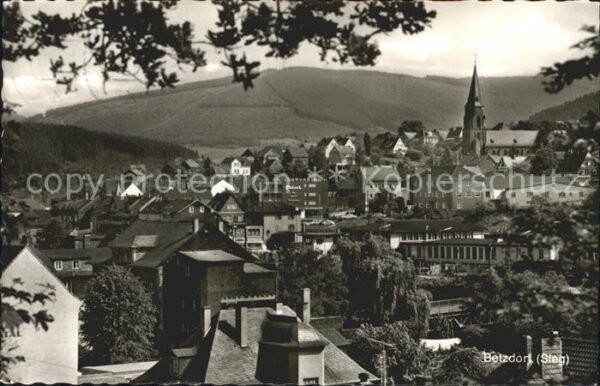 Betzdorf Sieg Ortsblick