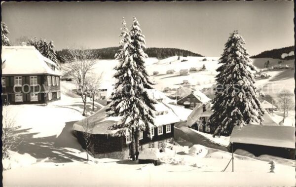 Todtnauberg Winteridyll