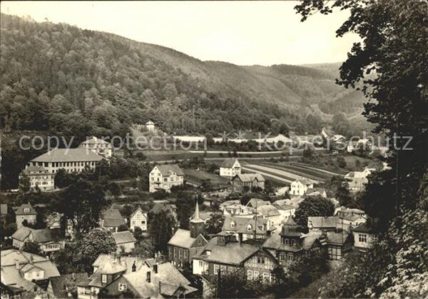 Schwarzburg Thueringer Wald Ortsansicht Forstschule