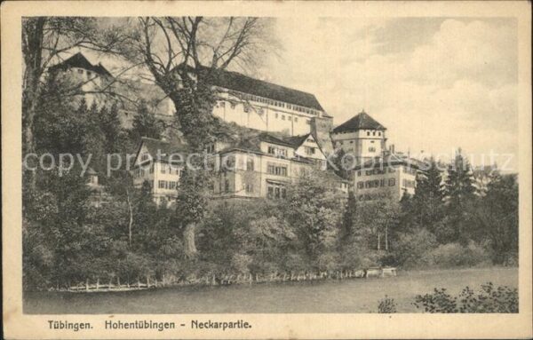 Tuebingen Hohentübingen Neckarpartie