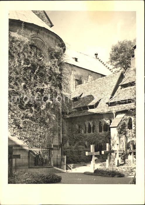 Hildesheim 1000jähriger Rosenstock