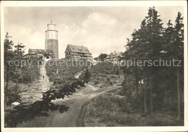 Brotterode Turm Waldpartie