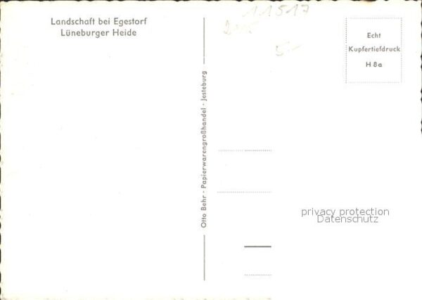Egestorf Nordheide Landschaft Lüneburger Heide Baumallee K – Bild 2