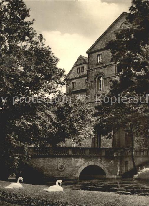 Koethen Anhalt Schlosspark Brücke Schwäne