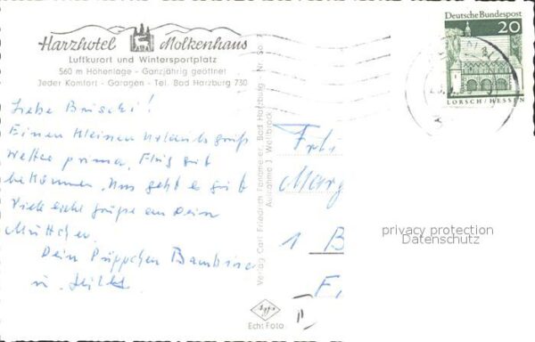 Bad Harzburg Bergwiese am Harzhotel Molkenhaus Kühe – Bild 2