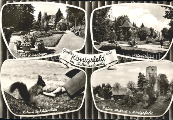 Koenigsfeld Schwarzwald Kuranlagen Zames Eichhörnchen Ruine Wal