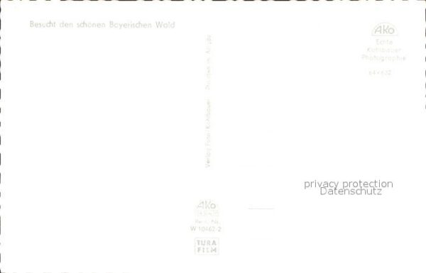Arnbruck Ortsansicht – Bild 2