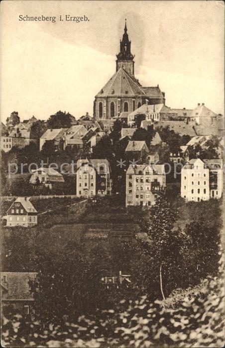 Schneeberg Erzgebirge Ortsansicht mit Kirche vom Schrebergart