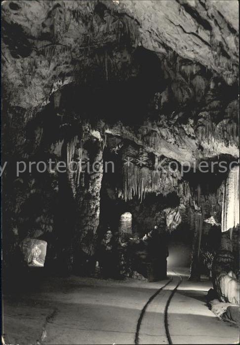 Postojnska jama Höhle