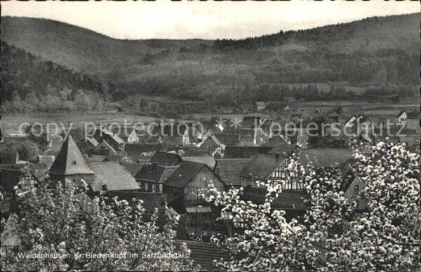 Weidenhausen Gladenbach im Salzbödetal