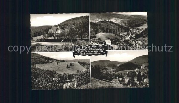 Bad Grund Hotel Pension Schönhofsblick Ortsansich