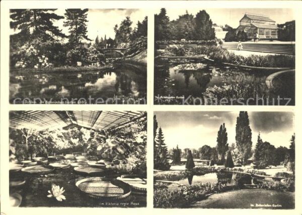 Dahlem Berlin Botanischer Garten Details Viktoria reg