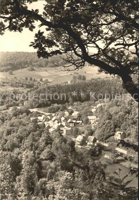 Altenbrak Harz Blick vom Bösen Kleef