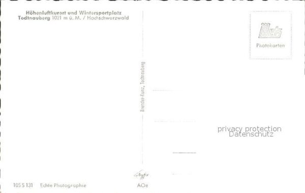 Todtnauberg Kühe – Bild 2