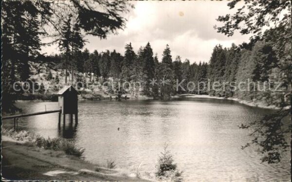 Clausthal-Zellerfeld Kellerhalsteich