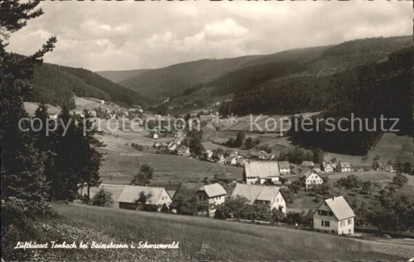 Tonbach