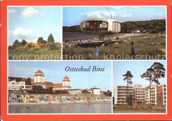 Binz Ruegen Blühender Ginster Rettungsturm Kurhaus