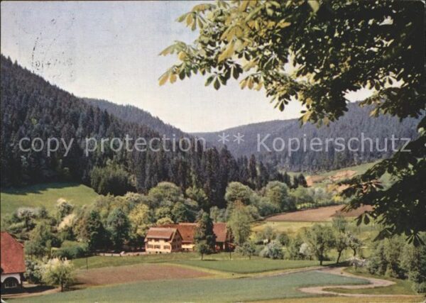 Ehlenbogen Mittlere Mühle