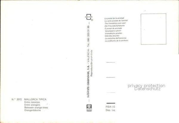 Mallorca Orangenbäume – Bild 2