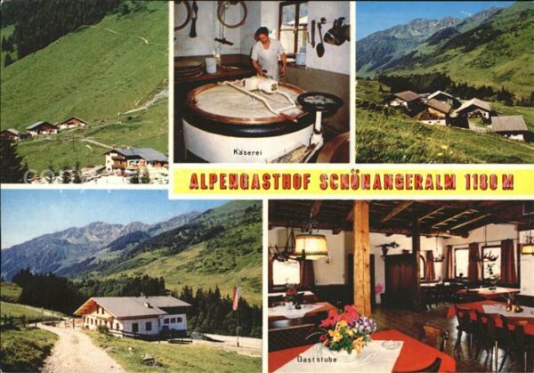 Wildschoenau Tirol Alpengasthof Schönangeralm Käserei Gast