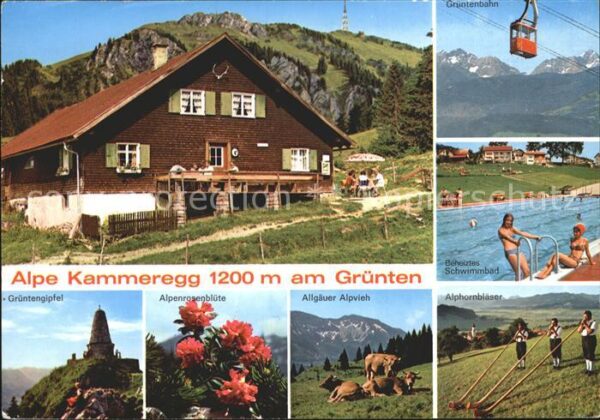 Rettenberg Oberallgaeu Kammeregg Grüntengipfel Alpenrosenblüte