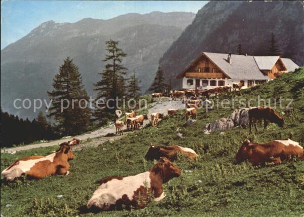 Golling Salzach Jochalm Bluntautal