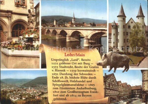 Lohr Main Brücke Burg Wildschwein Brunnen