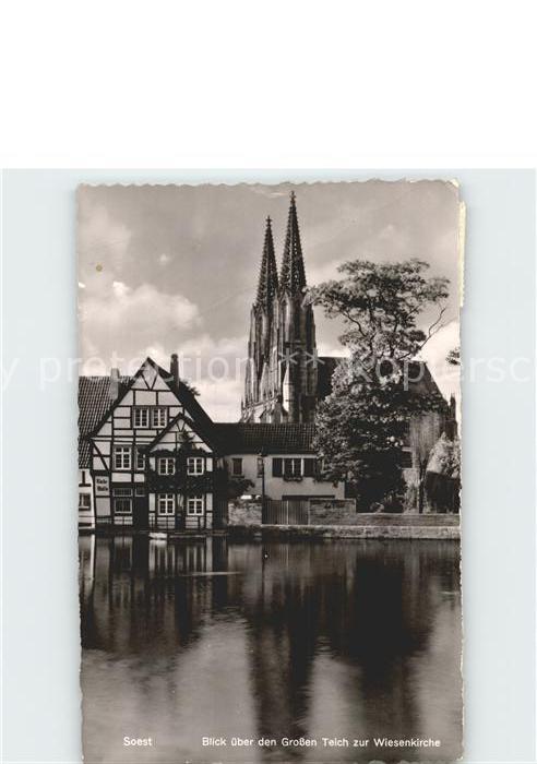 Soest Arnsberg Blick über den grossen Teich zur Wiesen