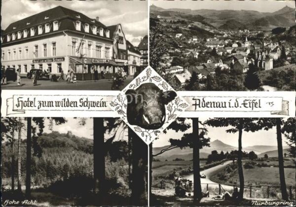 Adenau Ahrweiler Rheinland-Pfalz Hotel zum wilden Schwein Nürburgring Ho