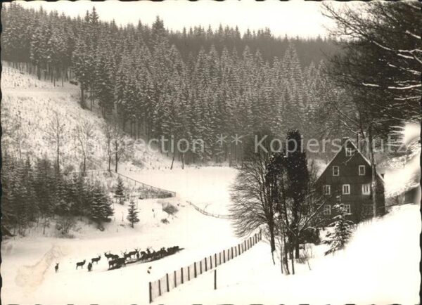Schmallenberg Wittgenstein Wildfütterung am Forsthaus