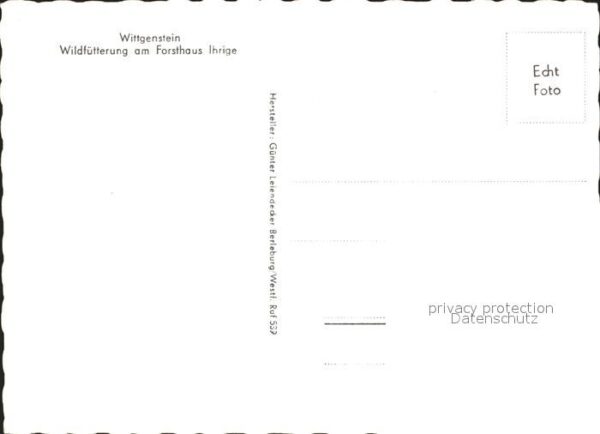 Schmallenberg Wittgenstein Wildfütterung am Forsthaus – Bild 2