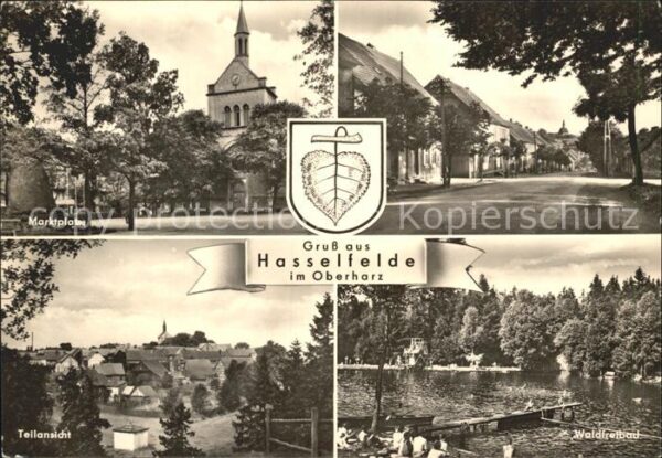 Hasselfelde