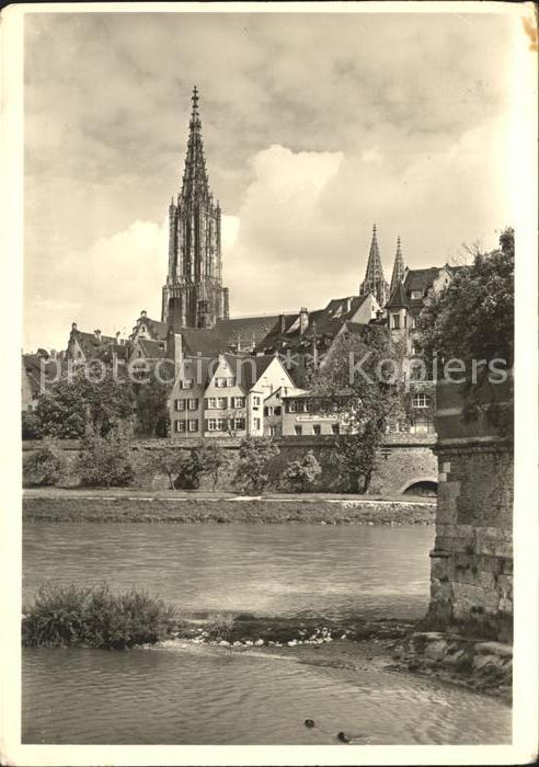 Ulm Donau mit Münster
