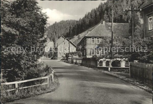 Steinheid Neumannsgrund