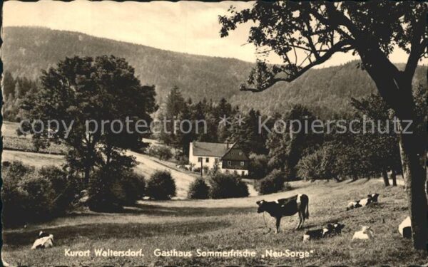 Waltersdorf Bad Schandau Gasthaus Neu Sorge
