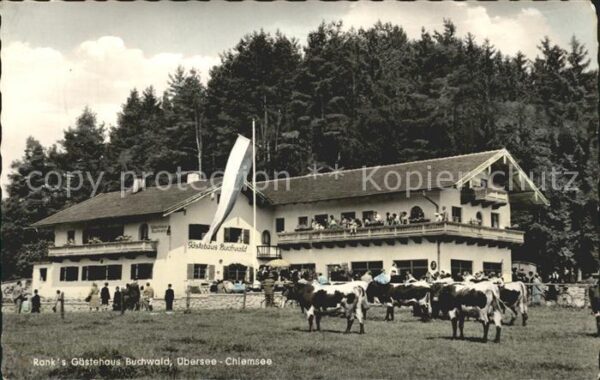 Uebersee Chiemsee Ranks Gästehaus Buchwald