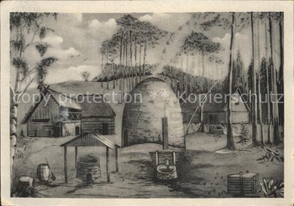 Duebener Heide Burg Düben an der Mulde Landschaftsmuse