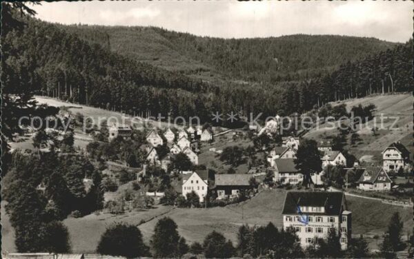 Enzkloesterle bei Wildbad