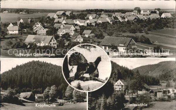 Goettelfingen Seewald Schwarzwald Kropfmühle Völmeshmühle