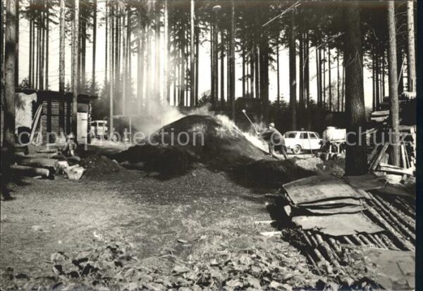Landwuest Meiler der Forstwitschaftsbetriebe Wald