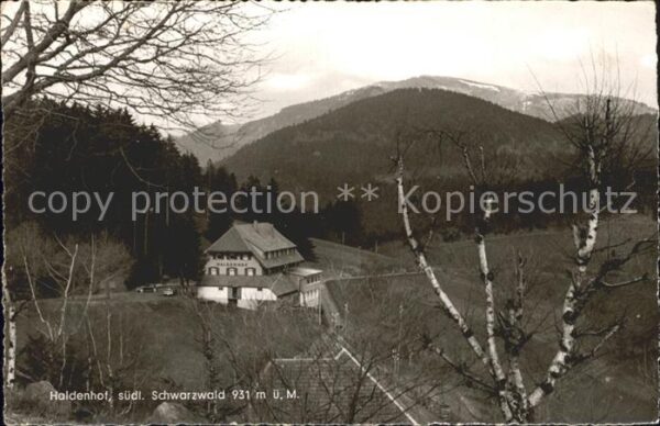 Neuenweg Haldenhof Gasthaus Pension