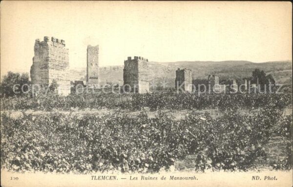 Tlemcen Les Ruines de Mansourah