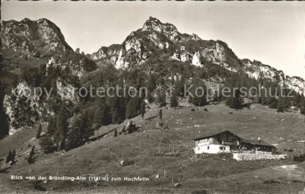 Hochfelln Bergen Blick von Bründlin-Alm