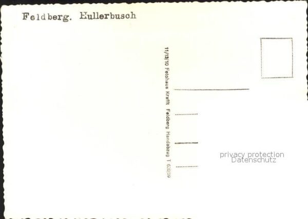 Feldberg Taunus Hullberbusch – Bild 2