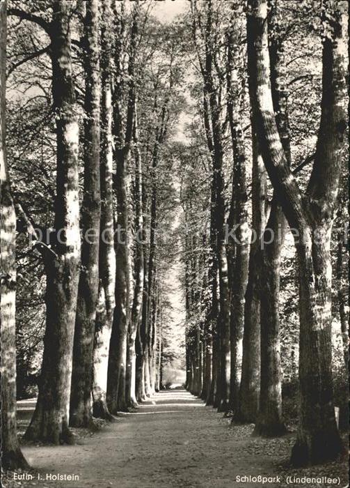 Eutin Schloßparkt Lindenallee
