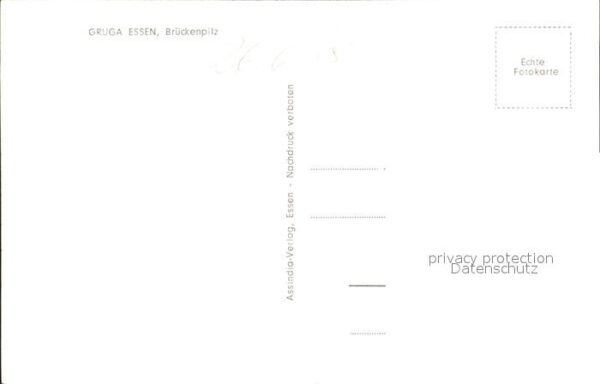 Essen Ruhr Brückenpilz – Bild 2