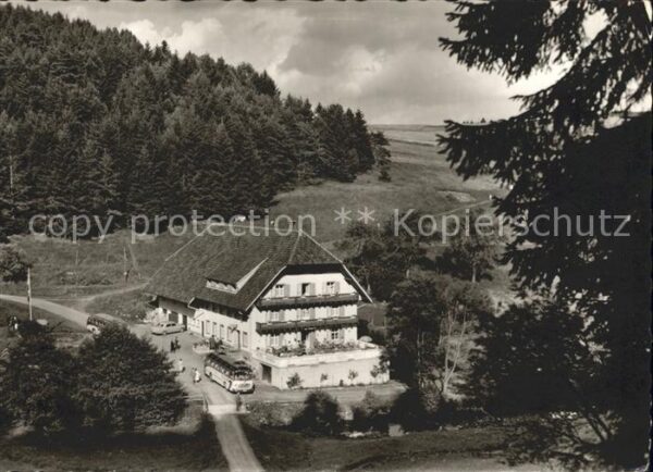Grafenhausen Schwarzwald Hotel- Pension Schluchtmühle