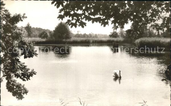 Bremervoerde Mühlenteich