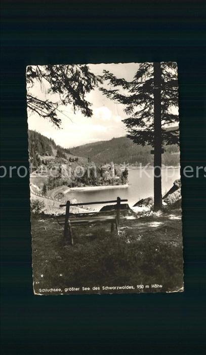 Schluchsee Bank Wald