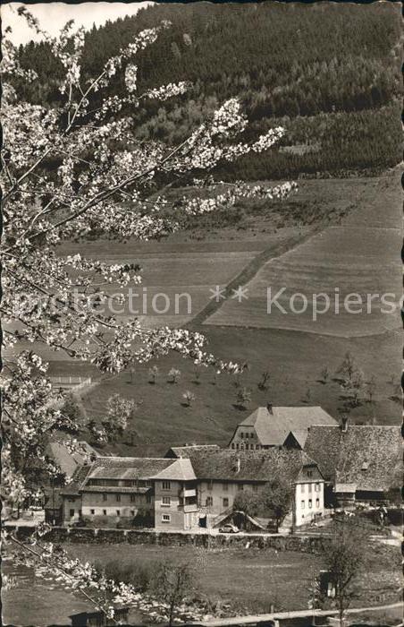 Obersimonswald Gasthaus zum Rebstock